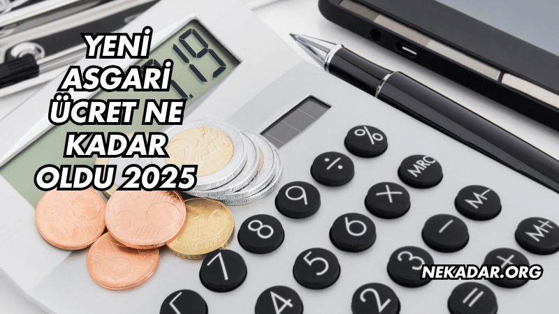 Yeni Asgari Ücret Ne Kadar Oldu 2025