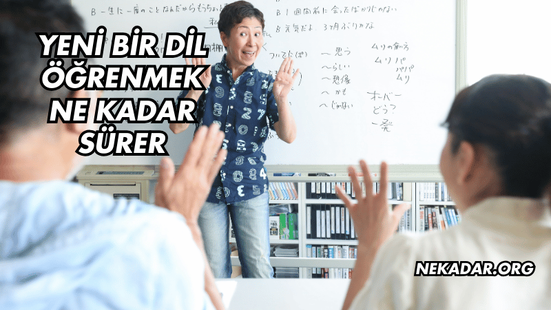 Yeni Bir Dil Öğrenmek Ne Kadar Sürer