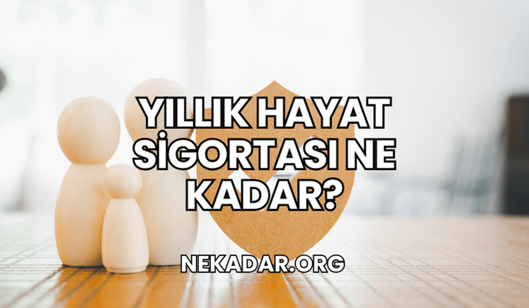 Yıllık Hayat Sigortası Ne Kadar?