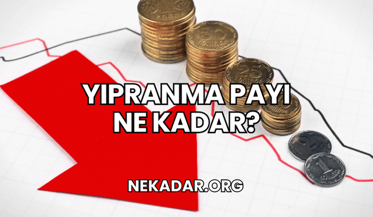 Yıpranma Payı Ne Kadar?