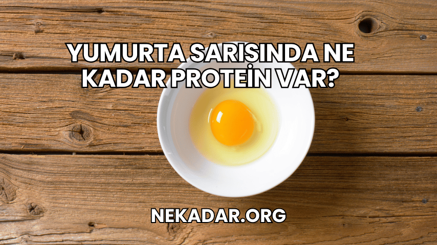 Yumurta Sarısında Ne Kadar Protein Var?