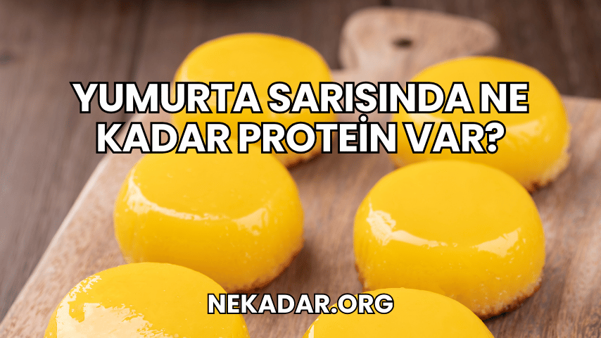 Yumurta Sarısında Ne Kadar Protein Var?