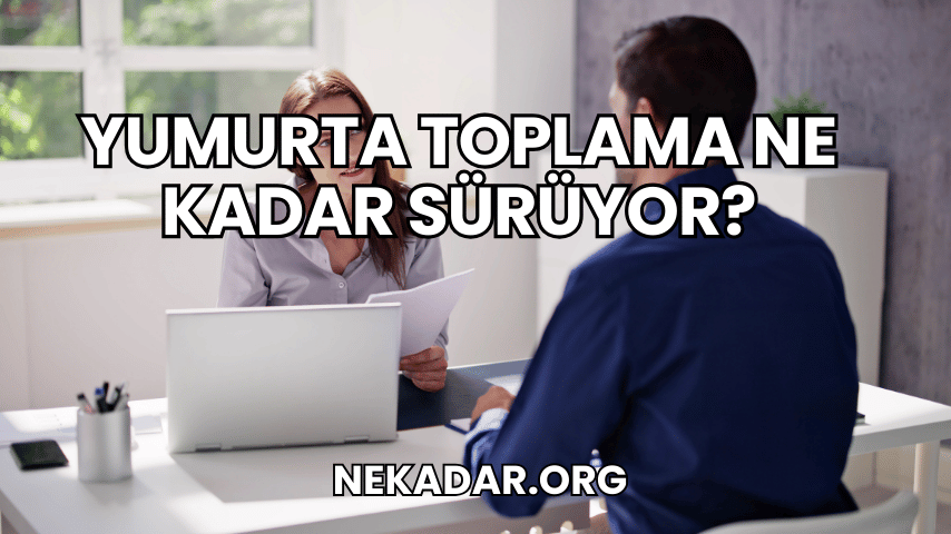 Yumurta Toplama Ne Kadar Sürüyor?