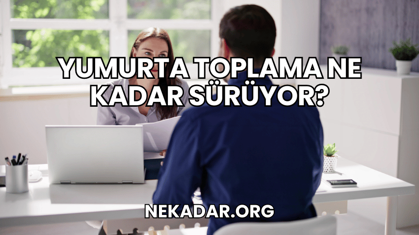 Yumurta Toplama Ne Kadar Sürüyor?