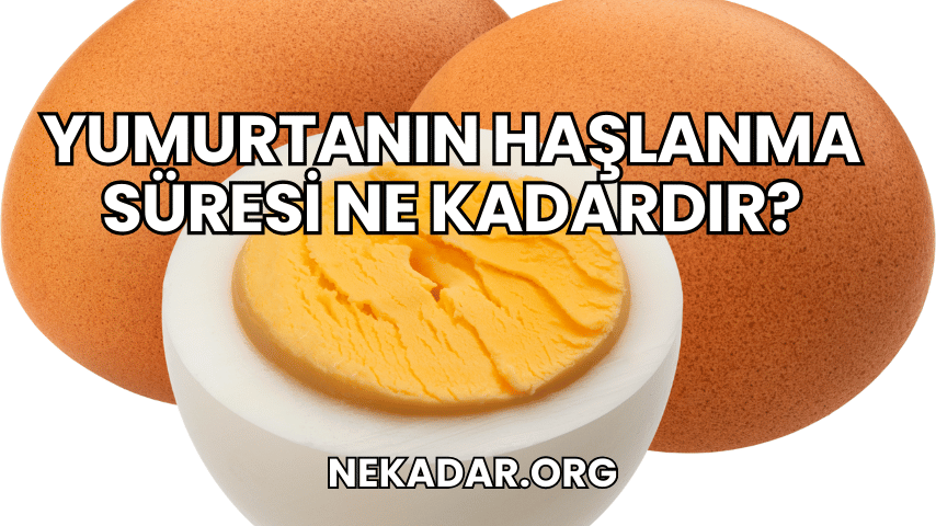 Yumurtanın Haşlanma Süresi Ne Kadardır?