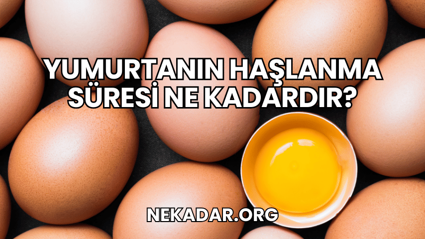 Yumurtanın Haşlanma Süresi Ne Kadardır?