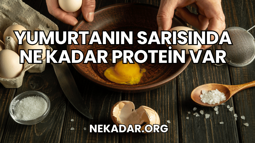 Yumurtanın Sarısında Ne Kadar Protein Var