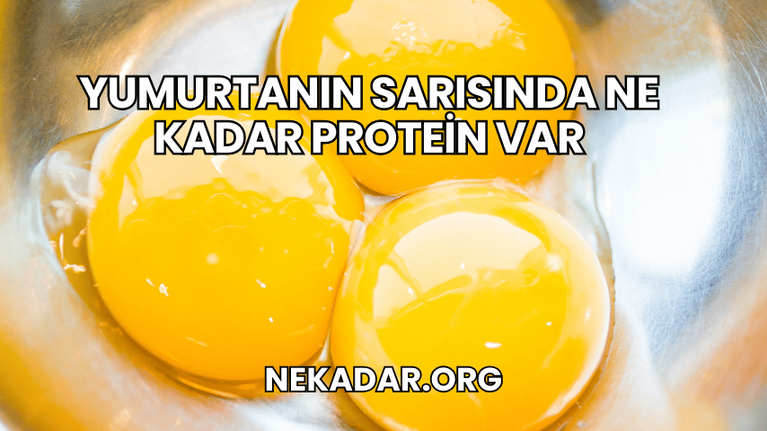 Yumurtanın Sarısında Ne Kadar Protein Var