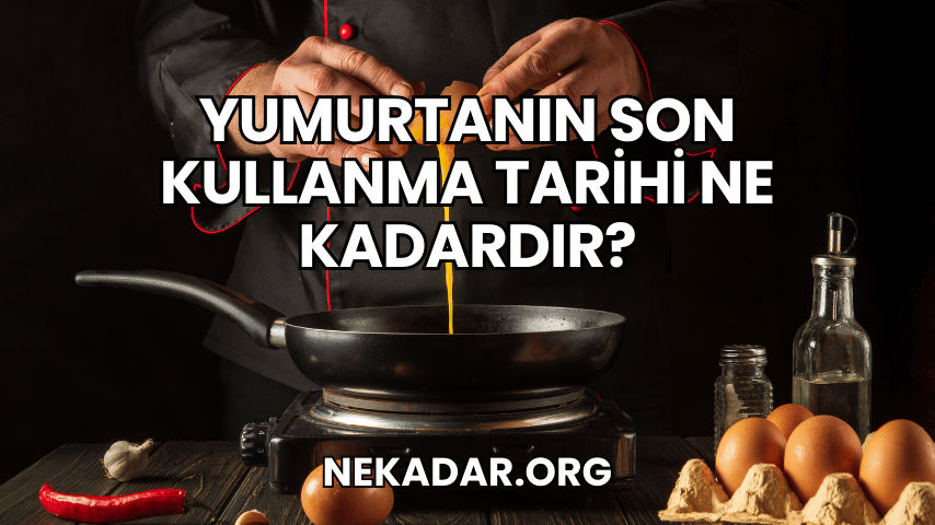 Yumurtanın Son Kullanma Tarihi Ne Kadardır?