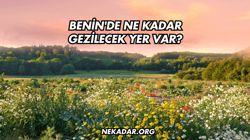 Benin'de Ne Kadar Gezilecek Yer Var?