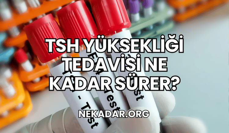 TSH Yüksekliği Tedavisi Ne Kadar Sürer?