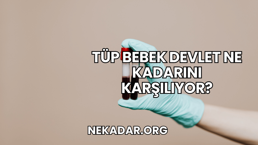 Tüp Bebek Devlet Ne Kadarını Karşılıyor?