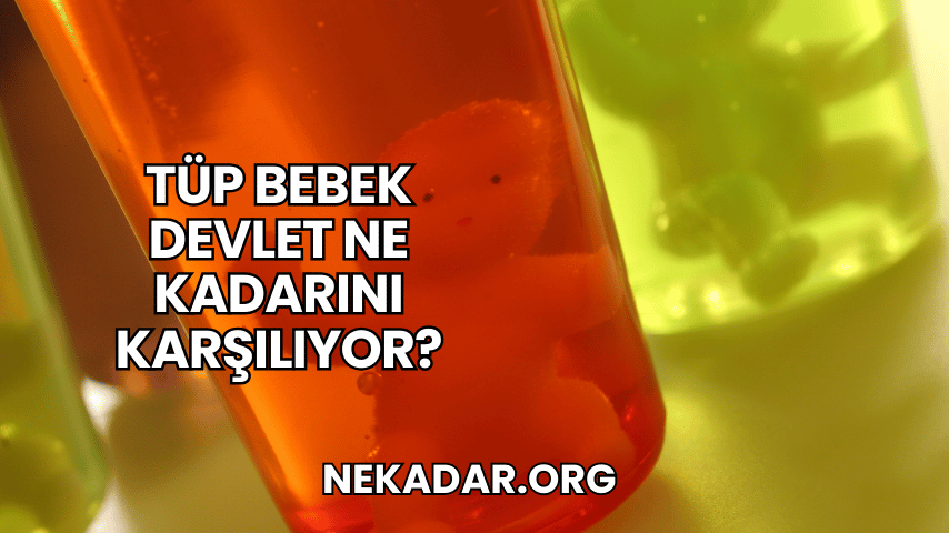 Tüp Bebek Devlet Ne Kadarını Karşılıyor?