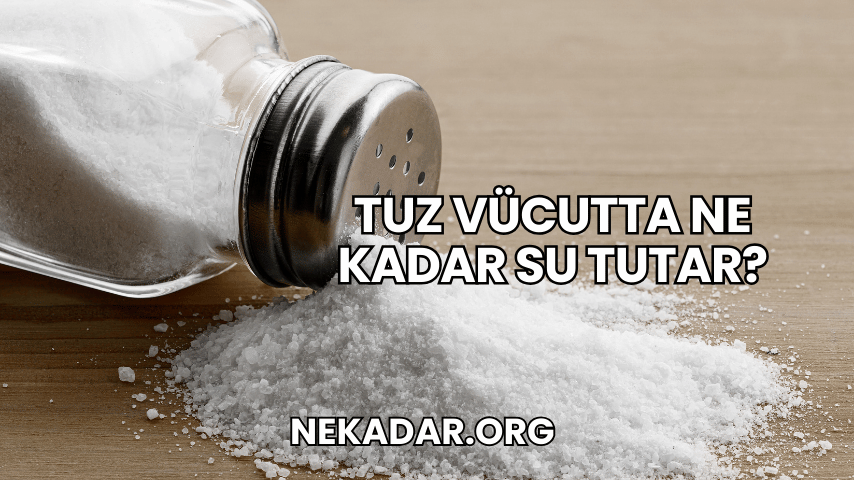 Tuz Vücutta Ne Kadar Su Tutar?