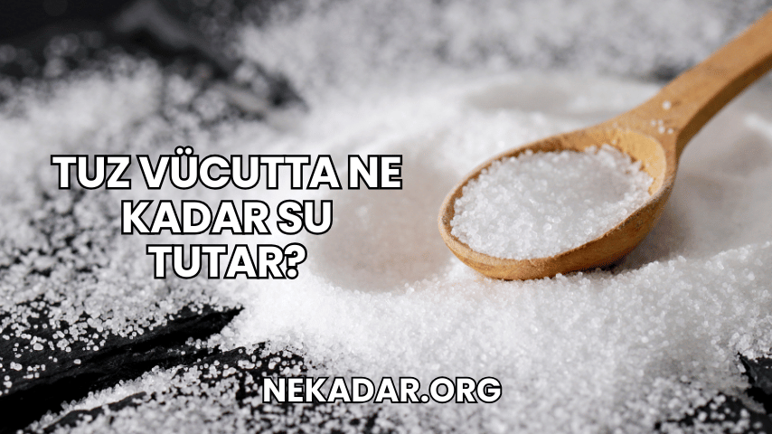 Tuz Vücutta Ne Kadar Su Tutar?