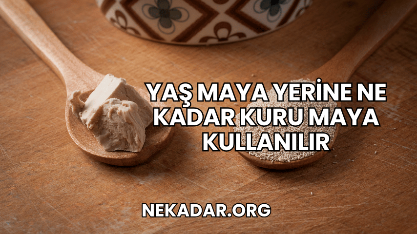 Yaş Maya Yerine Ne Kadar Kuru Maya Kullanılır