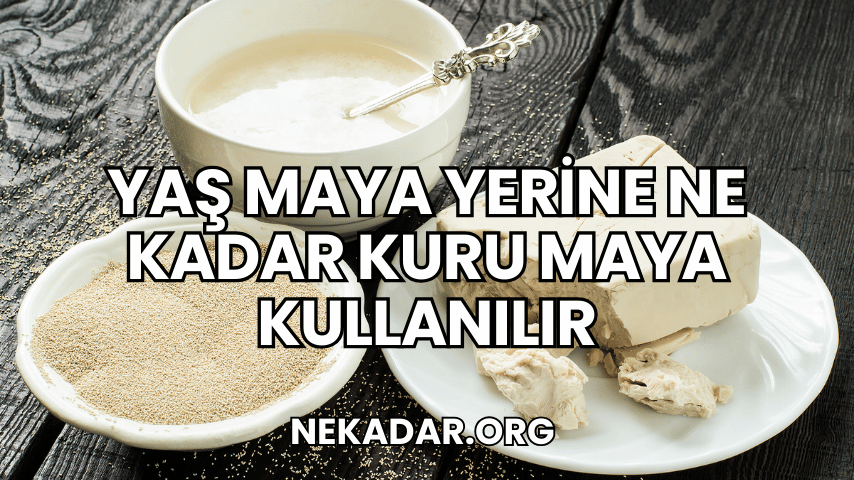 Yaş Maya Yerine Ne Kadar Kuru Maya Kullanılır