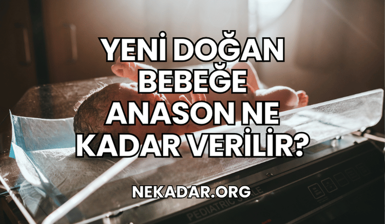 Yeni Doğan Bebeğe Anason Ne Kadar Verilir?