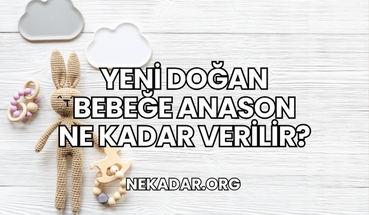 Yeni Doğan Bebeğe Anason Ne Kadar Verilir?