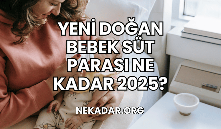 Yeni Doğan Bebek Süt Parası Ne Kadar 2025?