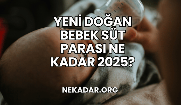 Yeni Doğan Bebek Süt Parası Ne Kadar 2025?