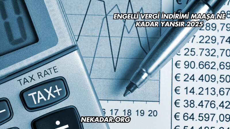 Engelli Vergi İndirimi Maaşa Ne Kadar Yansır 2025