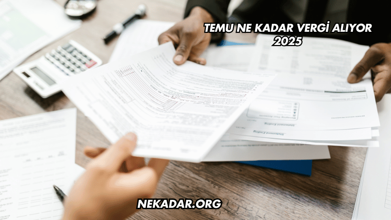 Temu Ne Kadar Vergi Alıyor 2025