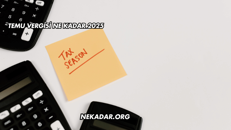 Temu Vergisi Ne Kadar 2025