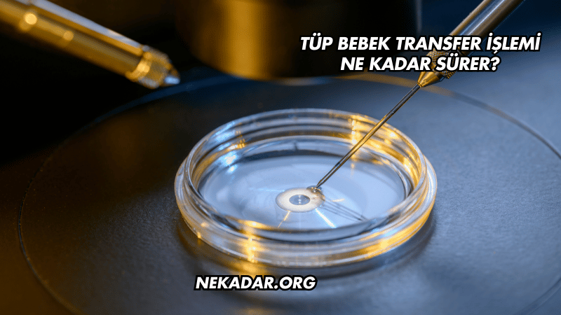 Tüp Bebek Transfer İşlemi Ne Kadar Sürer?