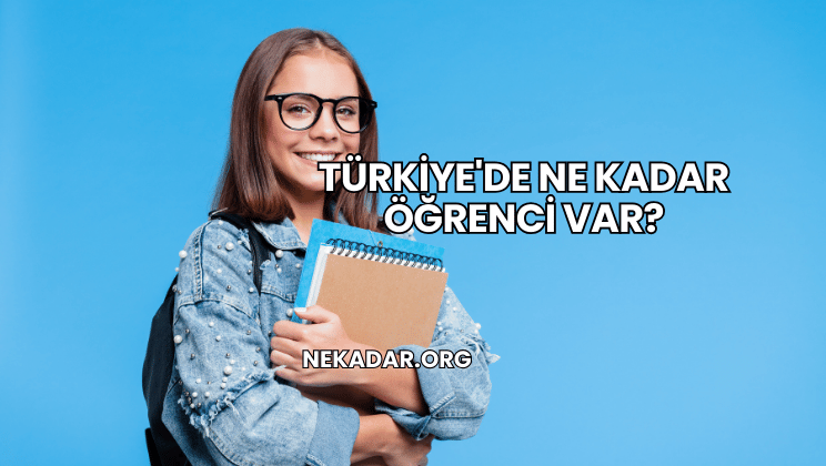 Türkiye'de Ne Kadar Öğrenci Var?