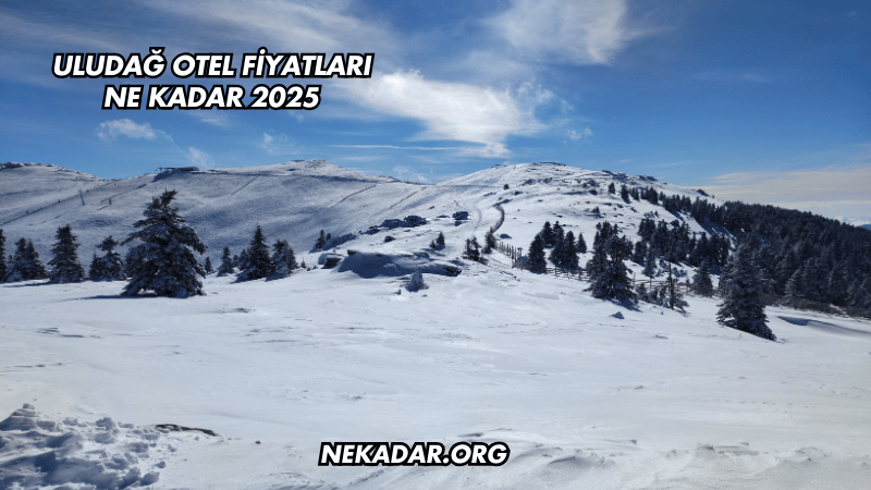 Uludağ Otel Fiyatları Ne Kadar 2025