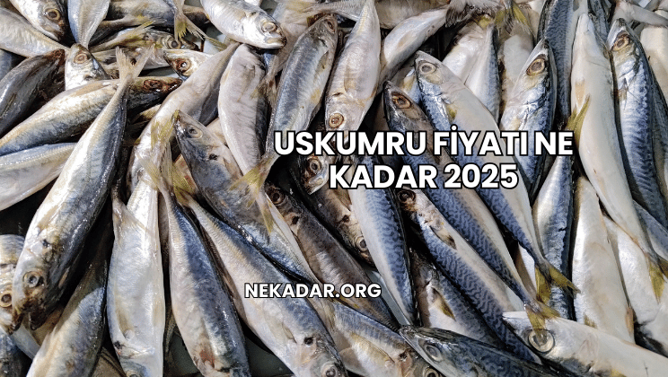 Uskumru Fiyatı Ne Kadar 2025