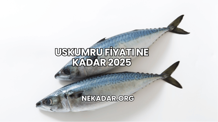 Uskumru Fiyatı Ne Kadar 2025