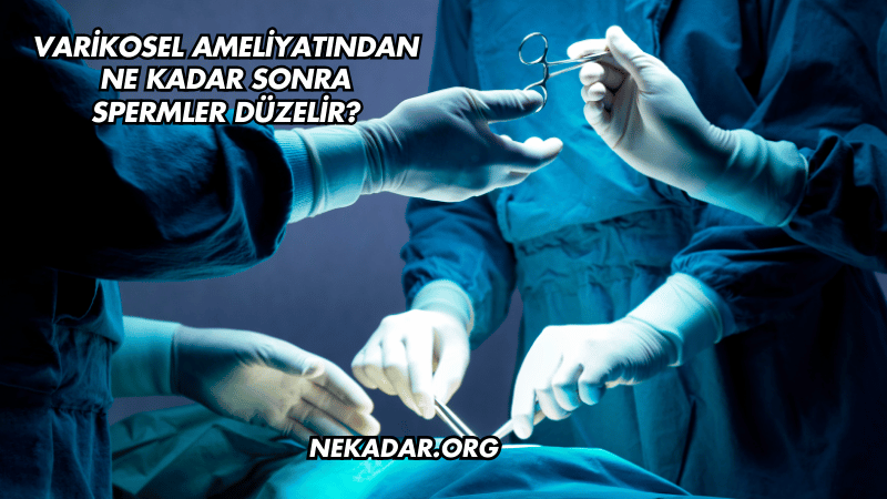 Varikosel Ameliyatından Ne Kadar Sonra Spermler Düzelir?