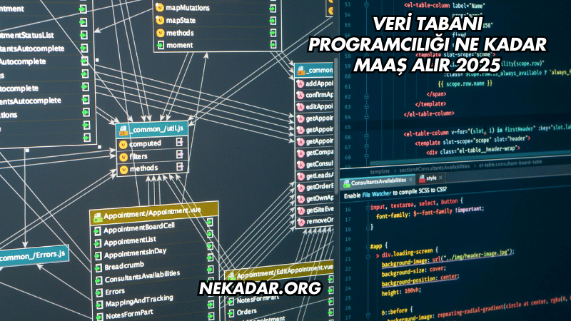 Veri Tabanı Programcılığı Ne Kadar Maaş Alır 2025