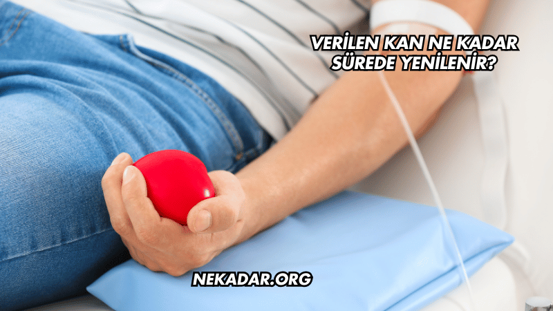 Verilen Kan Ne Kadar Sürede Yenilenir?