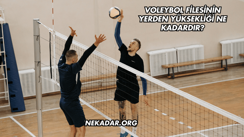 Voleybol Filesinin Yerden Yüksekliği Ne Kadardır?