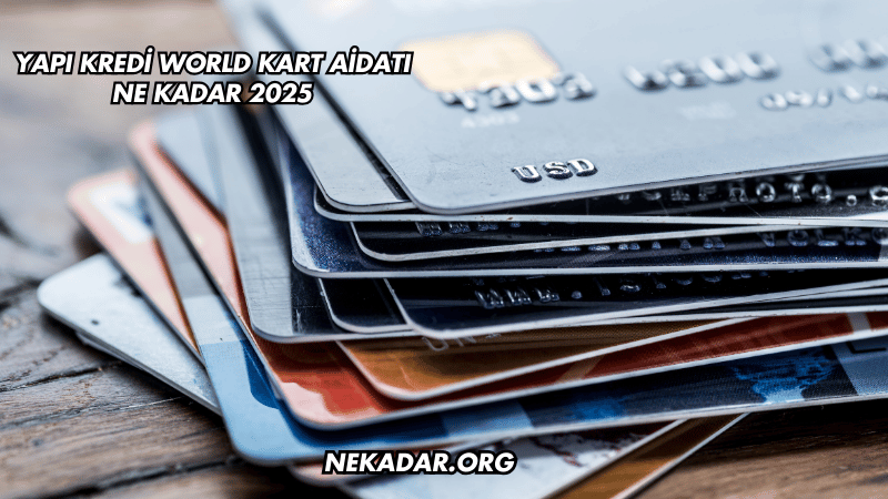 Yapı Kredi World Kart Aidatı Ne Kadar 2025