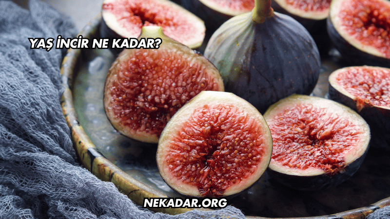 Yaş İncir Ne Kadar?