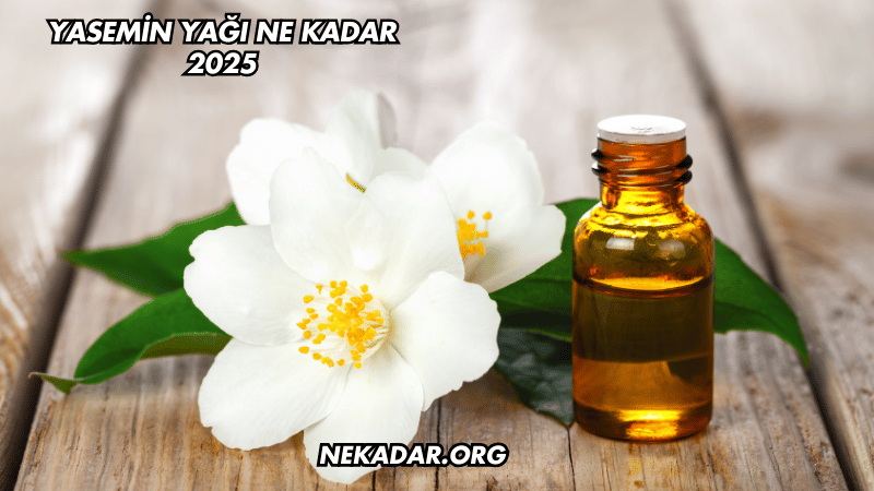 Yasemin Yağı Ne Kadar 2025