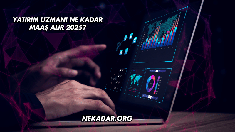 Yatırım Uzmanı Ne Kadar Maaş Alır 2025