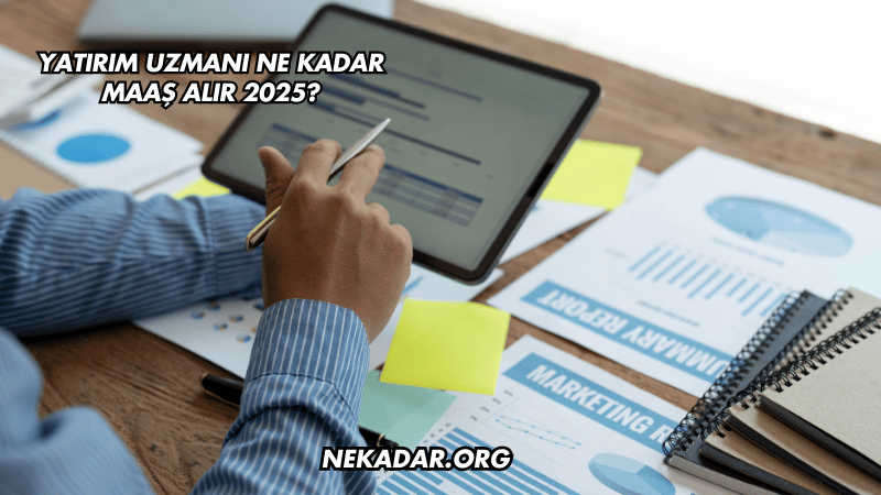 Yatırım Uzmanı Ne Kadar Maaş Alır 2025