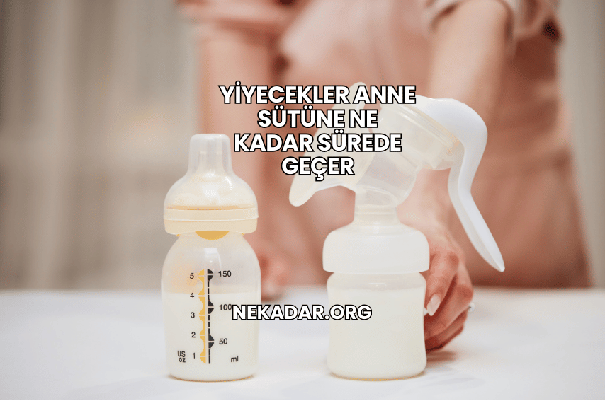 Yiyecekler Anne Sütüne Ne Kadar Sürede Geçer