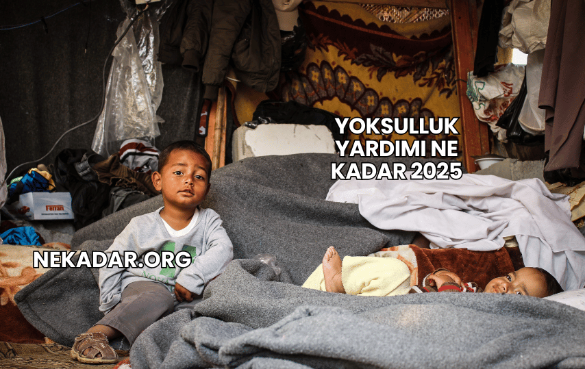 Yoksulluk Yardımı Ne Kadar 2025